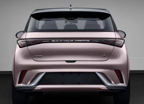 比亚迪海豚爆料视频下载,时尚动感，性能升级，引领新能源小车潮流